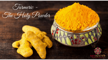 What’s all the hype about Turmeric?